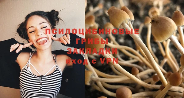 соль ск Новокубанск