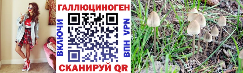 omg рабочий сайт  Алапаевск  Галлюциногенные грибы GOLDEN TEACHER 